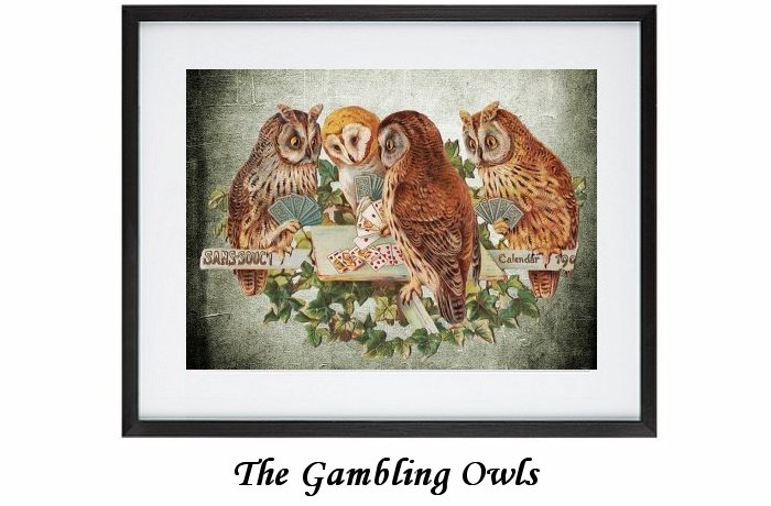 Gambling Owls Framed Print